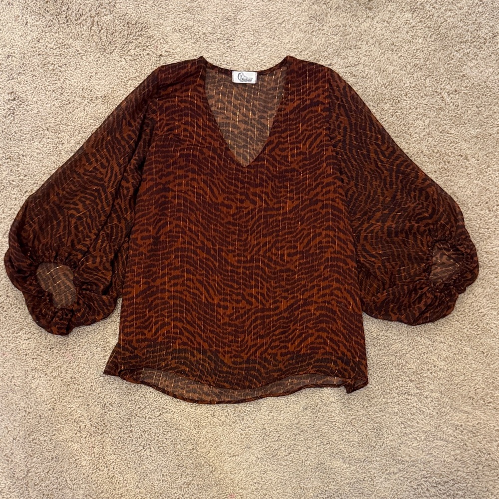 Charisma Brown Sheer Blouse